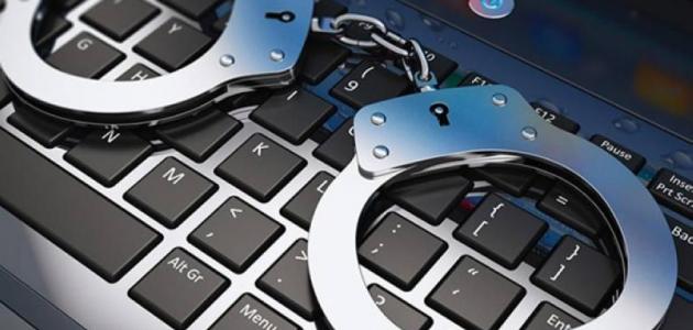 ما هي أنواع الجرائم الإلكترونية المختلفة؟